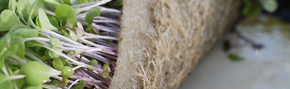 Biostrate BioStrate Propagation Felt – AmHydro