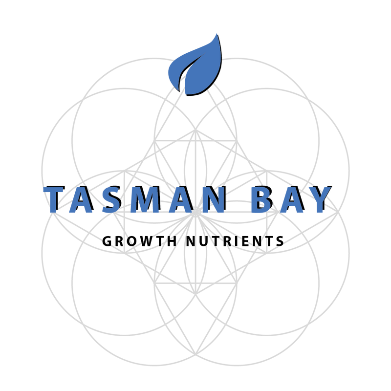 AmHydro Tasman Bay Nutrients